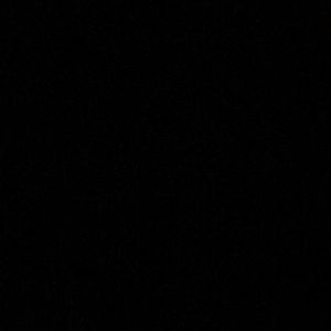 Meet your Posher, Audrey